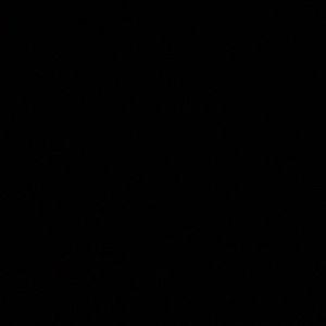 Meet your Posher, Rae